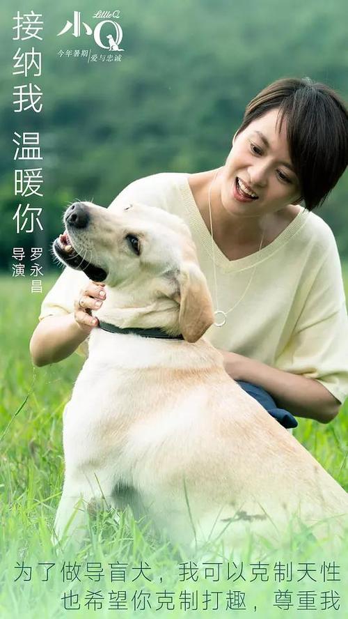 莱茵瓦尔应用技术大学学位证